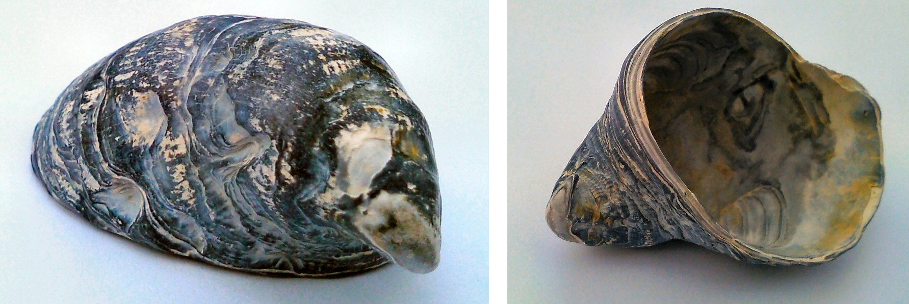 &copy; Thijs de Boer